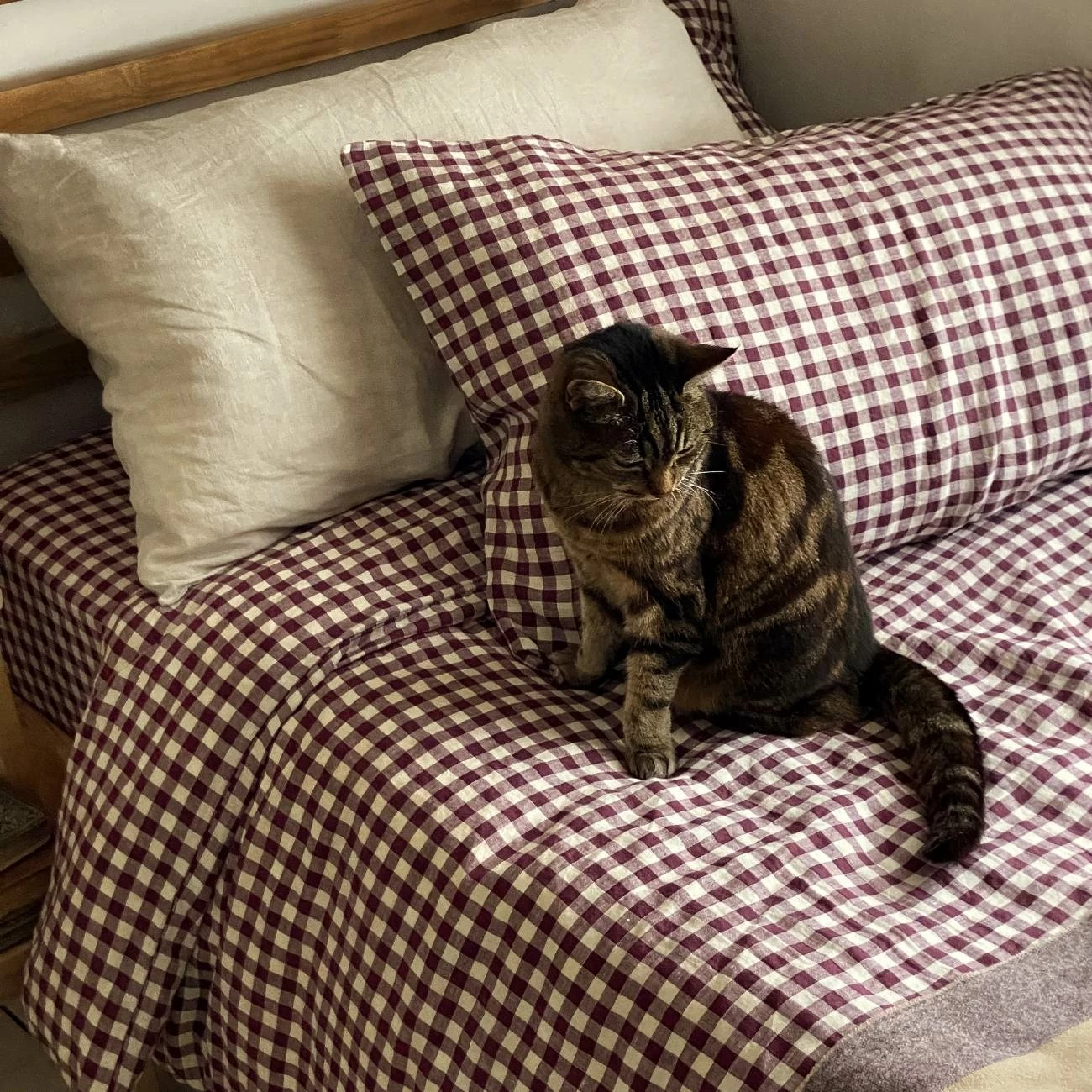 Berry Gingham Duvet Cover 6 Berry Gingham Duvet Cover - Image 4